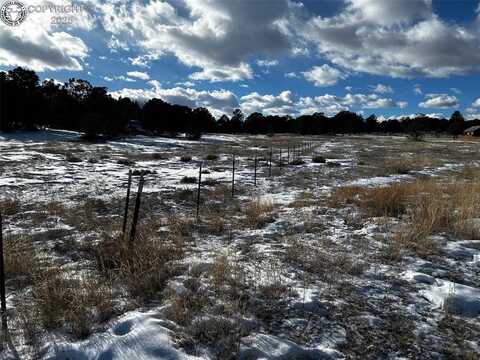 Tbd 35th Trail, Cotopaxi, CO 81223