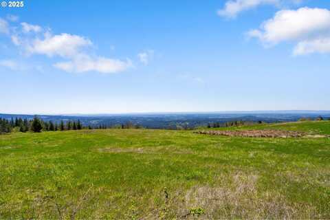 0000 NE Alvas RD, Battle Ground, WA 98604