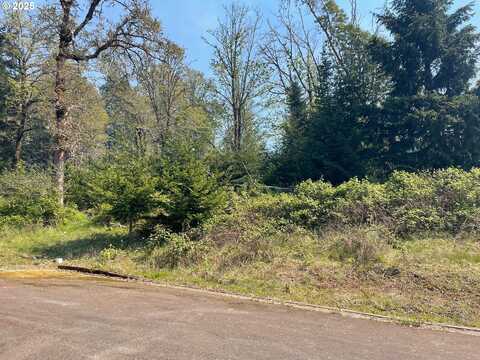 48522 SIX POINT DR, Oakridge, OR 97463