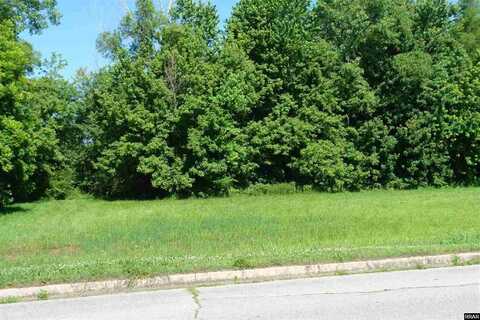 712 Miles Avenue N (Lot 2), Union City, TN 38261