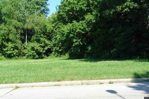 720 Miles Avenue N (Lot 1), Union City, TN 38261