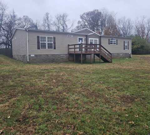 276 David, McKenzie, TN 38201