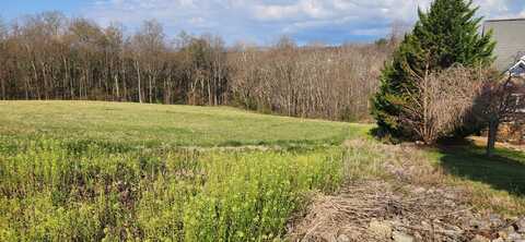 LOT 7 Kyles CT, Rocky Mount, VA 24151