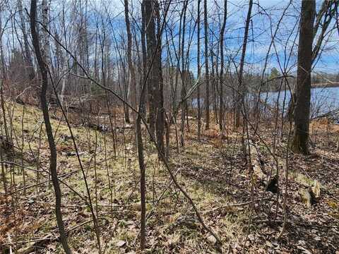 Tbd Snaptail Lake Lane, Bovey, MN 55709