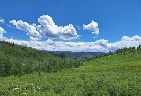 27115 ST LOUIS PLACE, Clark, CO 80428