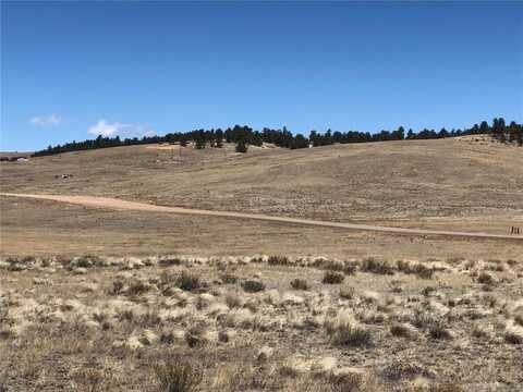 121 COMMANCHE TRAIL, Hartsel, CO 80449