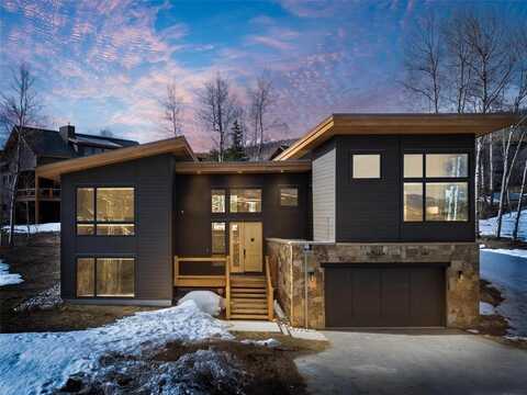 11 GLAZER TRAIL, Silverthorne, CO 80498