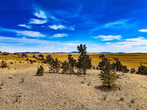 102 PACK SADDLE COURT, Hartsel, CO 80449