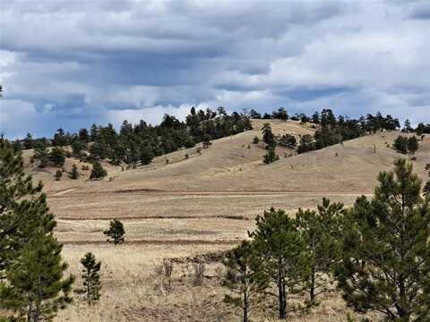 00 BLACK BEAVER ROAD, Hartsel, CO 80449
