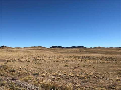 2972 JUMANO TRAIL, Hartsel, CO 80449