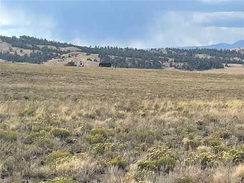 14171 CHICKASAW ROAD, Hartsel, CO 80449