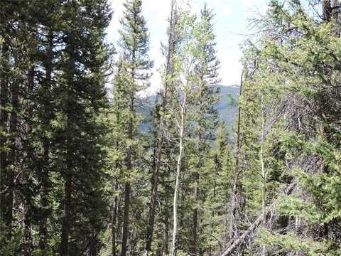 00 GEORGIA PASS LOOKOUT, Jefferson, CO 80456