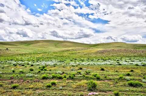 313 WATONGA TRAIL, Hartsel, CO 80449