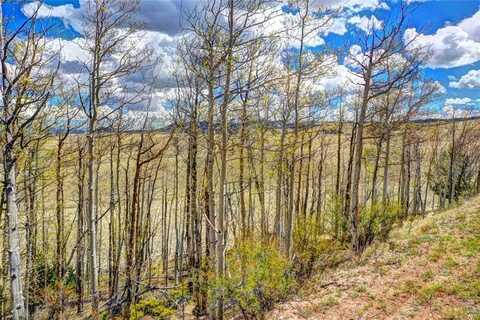 00 SHTAHA ROAD, Hartsel, CO 80449