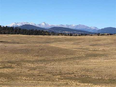 3036 JUMANO TRAIL, Hartsel, CO 80449