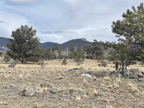 420 BANDALIER DRIVE, Hartsel, CO 80449