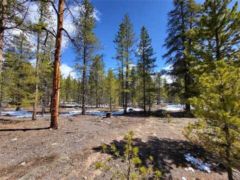 379 & 361 JUNIPER DRIVE, Twin Lakes, CO 80461