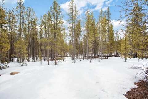 379 & 361 JUNIPER DRIVE, Twin Lakes, CO 80461