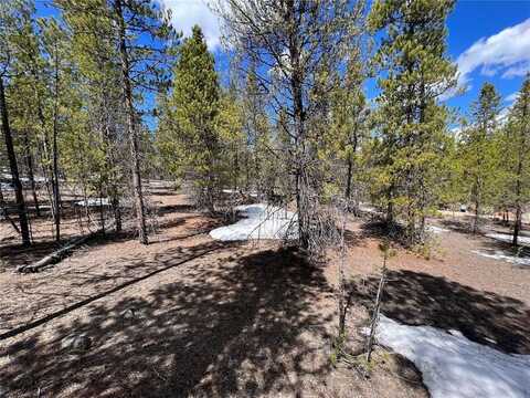 180 MT MASSIVE ROAD, Twin Lakes, CO 81251