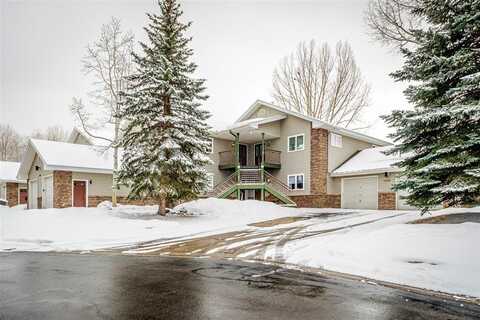 1485 MUSTANG RUN, Steamboat Springs, CO 80487