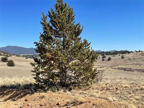 3233 REMINGTON ROAD, Como, CO 80432