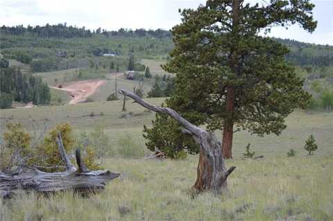 798 HAWK WAY, Como, CO 80432