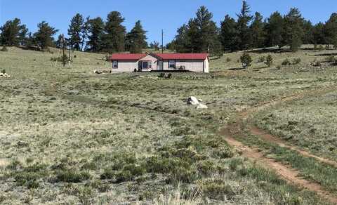 1983 ARAPAHOE ROAD, Hartsel, CO 80449
