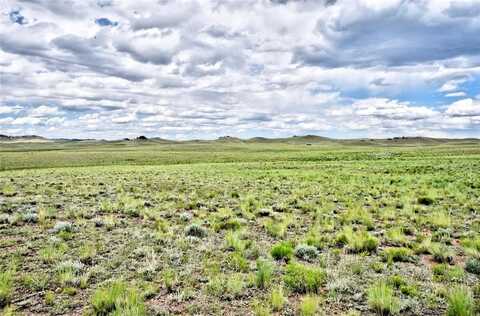 1238 CHICHA ROAD, Hartsel, CO 80449