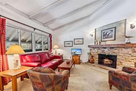 311 S HIGH STREET, Breckenridge, CO 80424