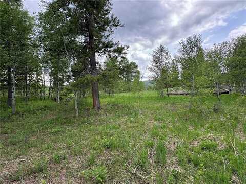 21095 STAMPEDE WAY, Oak Creek, CO 80467