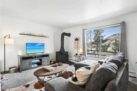 180 EVERGREEN ROAD, Dillon, CO 80435