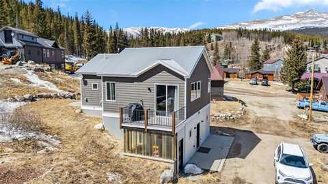 255 FLANNIGAN CIRCLE, Alma, CO 80420