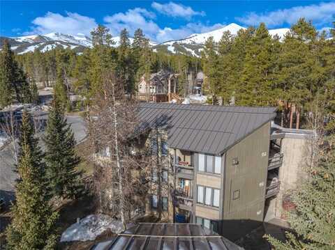 1179 SKI HILL ROAD, Breckenridge, CO 80424