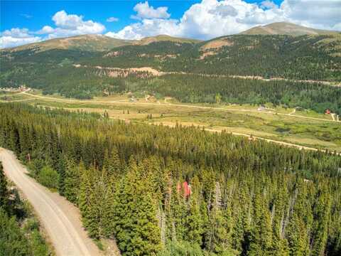 1314 QUARTZVILLE ROAD, Alma, CO 80440