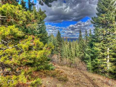 486 VALLEY OF THE SUN DRIVE, Fairplay, CO 80440