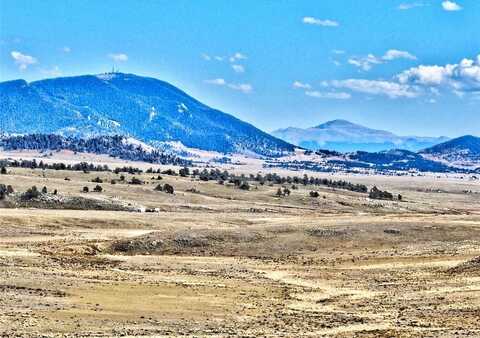 236 CHEYENNE TRAIL, Hartsel, CO 80449
