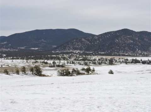 2418 GOLDENBURG CANYON ROAD, Hartsel, CO 80449