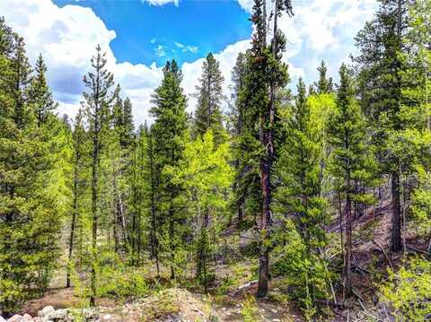 336 VENTURE ROAD, Fairplay, CO 80440