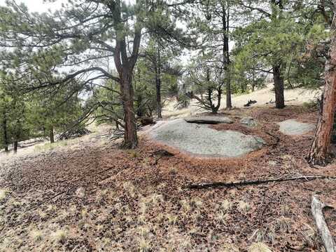 255 PINON LANE, Florissant, CO 80816