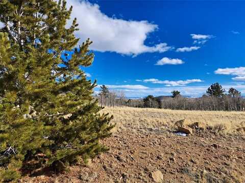 560 RAVEN WAY, Como, CO 80432