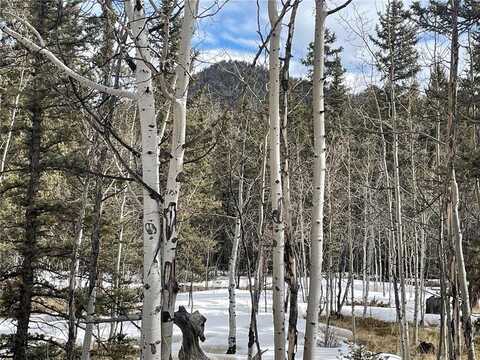 80 HAIDA WAY, Como, CO 80456