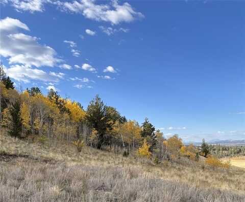 8494 CHICKASAW ROAD, Hartsel, CO 80449