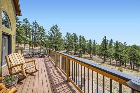 133 LAKE DRIVE, Florissant, CO 80816
