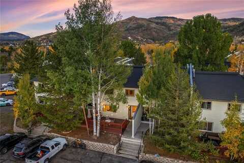 21 CYPRESS COURT, Steamboat Springs, CO 80487