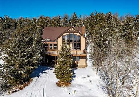 1424 BLUESTEM WAY, Fairplay, CO 80440