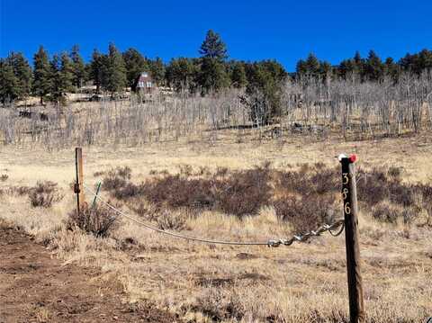 386 BORDENVILLE ROAD, Jefferson, CO 80456