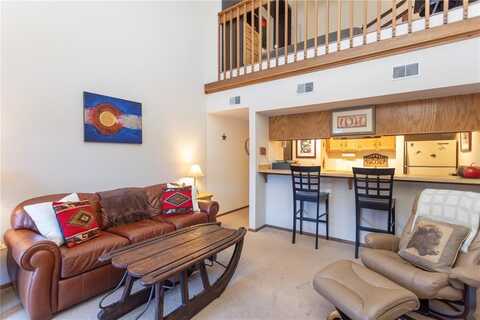 570 BILLS RANCH ROAD, Frisco, CO 80443