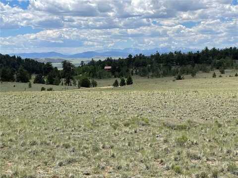 853 LA PLATA DRIVE, Hartsel, CO 80449