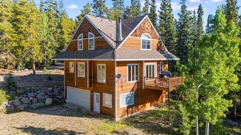 234 PETERSON DRIVE, Alma, CO 80440
