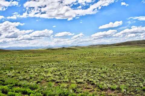 1341 XTHA TRAIL, Hartsel, CO 80449